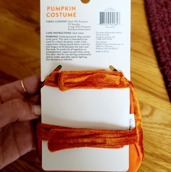 Thrills & Chills Reptile Pumpkin JackOLantern Halloween Costume Bearded Dragon - Picture 3 of 3